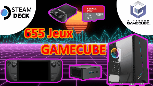 Tous les Jeux Game Cube 655 au Total sur une seule Carte microSD pour SteamDeck, Anbernic Win600 et RG552 ou PC